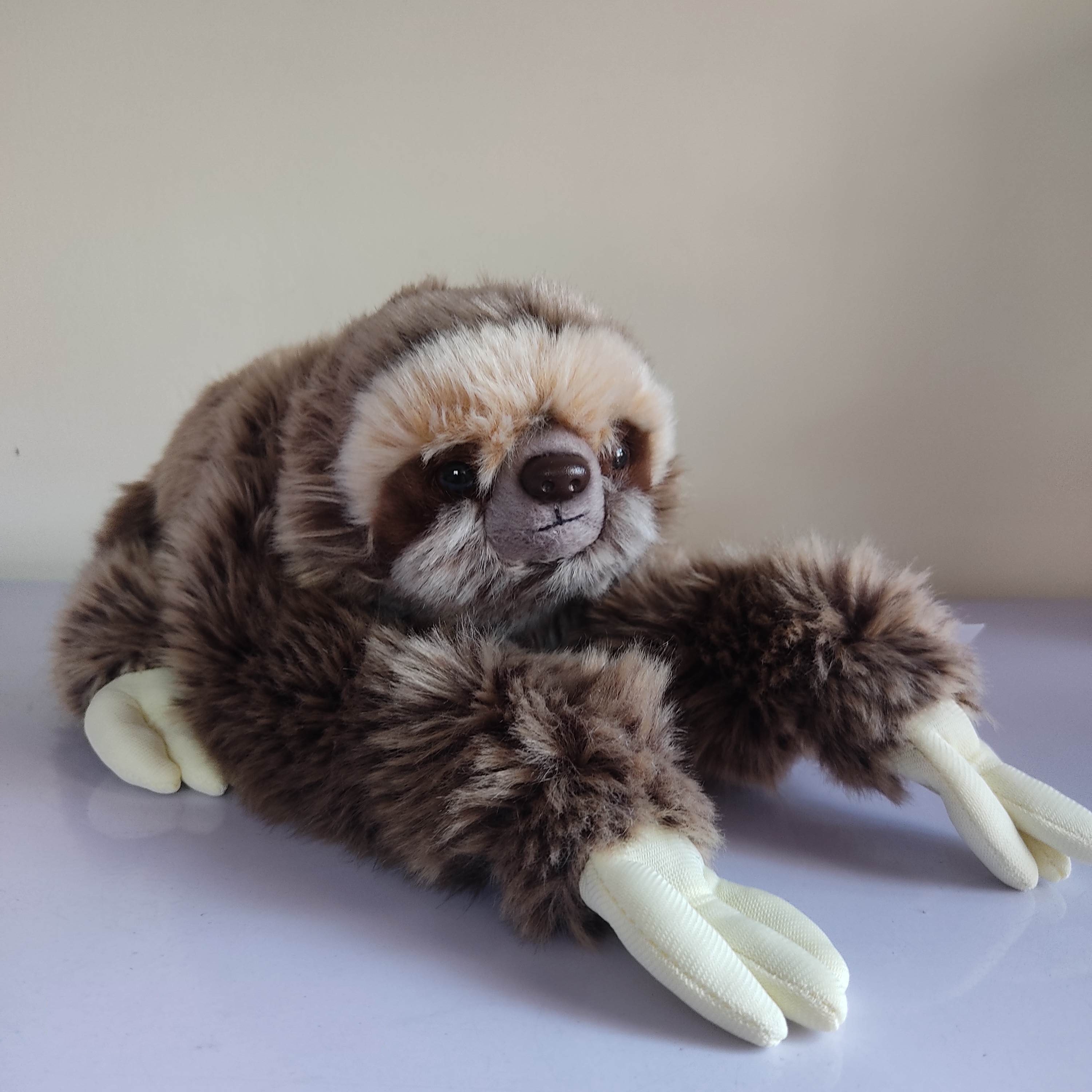 Koala With Long Hand and Leg